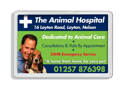 L4 Fridge Magnet 45x75mm