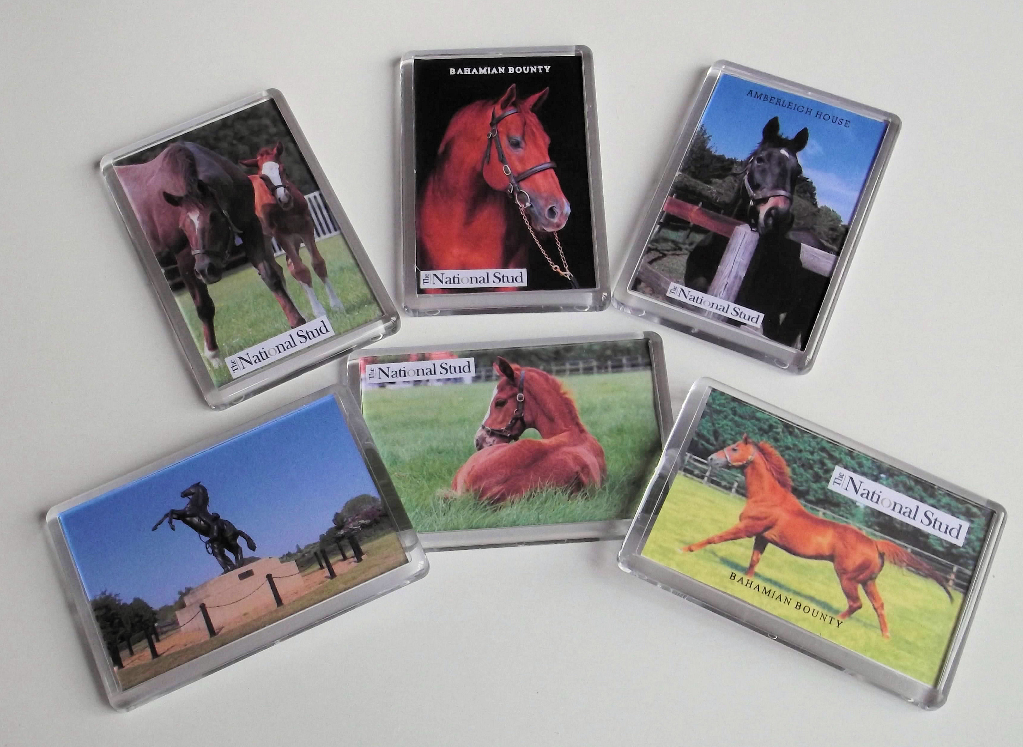 Horse Magnets